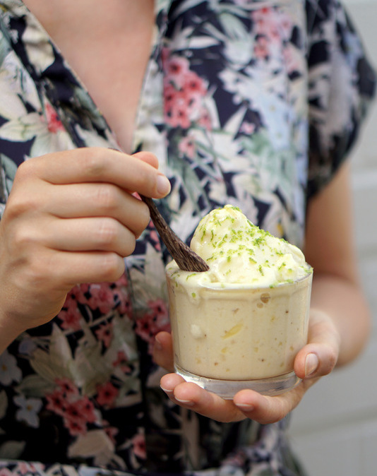 Karola's Kitchen - Nice Cream Tropical